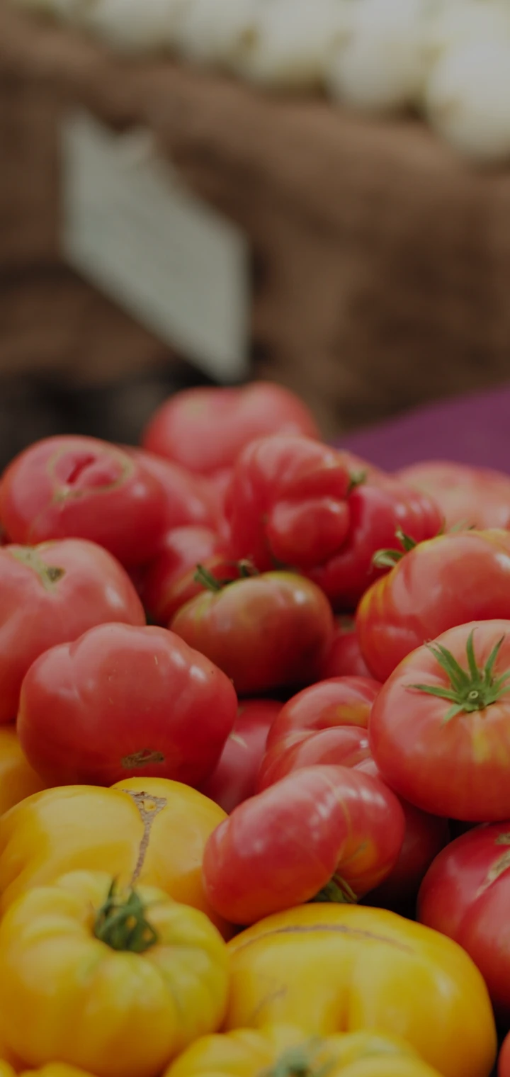 キャメルホールセール メインビジュアル